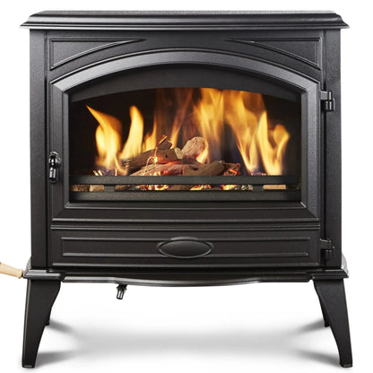 Black cast iron wood-burning stove with a glass front door showing a glowing fire with logs inside, set against a plain white background.